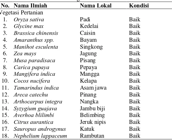 Tabel 4. Jenis Vegetasi di Desa Situdaun No. Nama Ilmiah 