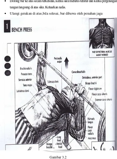 Gambar 3.2 Bench Press dalam Strength Training Anatomy (Frederic Delavier, 42) 
