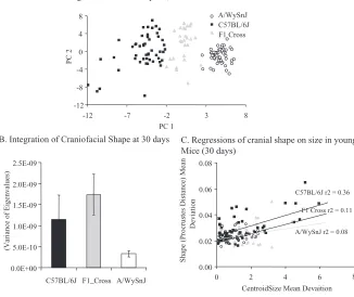 FIG. 2. Comparisons of adult A/WySnJ mice to C57BL/6J mice at 30 days of age. (A) PCA plot comparing the two strains with their F1 cross