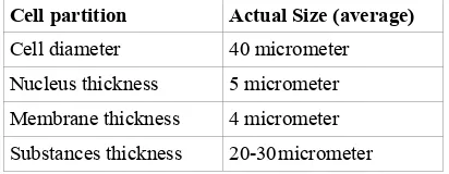Table 1: Human skin cell size  