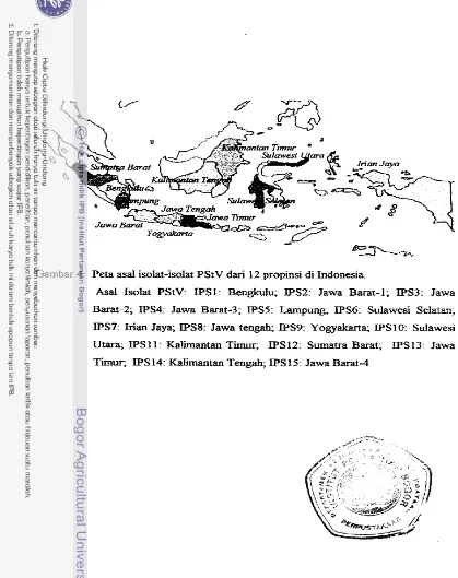 Gambar 4 Peta asal isolat-isolat PStV dari 12 propinsi di Indonesia 