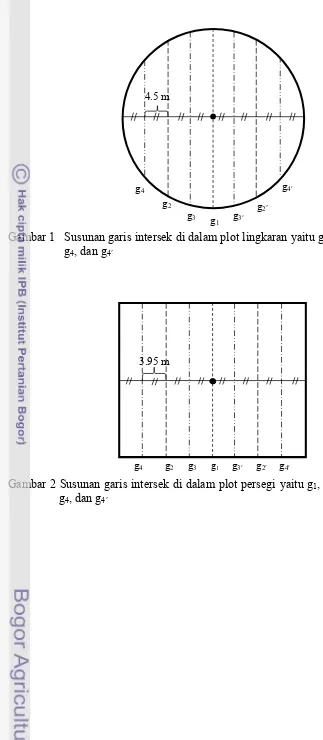 Gambar 1 Susunan garis intersek di dalam plot lingkaran yaitu g1, g2, g2′, g3, g3′, 
