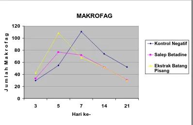 Gambar 11  Grafik jumlah makrofag pada ketiga kelompok perlakuan  