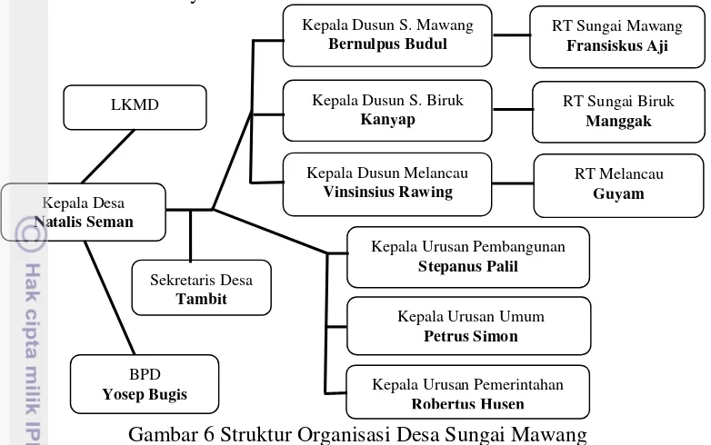 Gambar 6 Struktur Organisasi Desa Sungai Mawang 