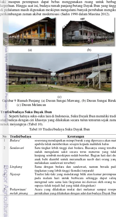 Gambar 9 Rumah Panjang (a) Dusun Sungai Mawang, (b) Dusun Sungai Biruk, 