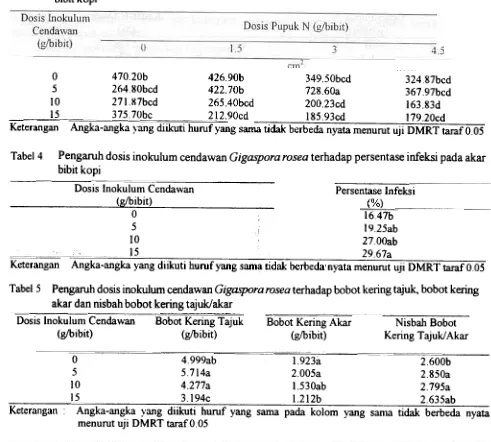 Tabel 4Pengaruh dosis inokulum cendawan Gigaspora rosea terhadap persentase infeksi pada akar