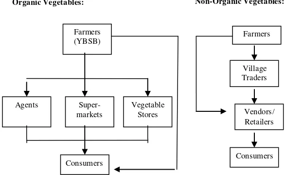 Fig. 7.   Marketing Systems of Organic and Non-Organic Vegetables in Tugu, Bogor 