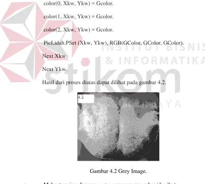 Gambar 4.2 Grey Image. 