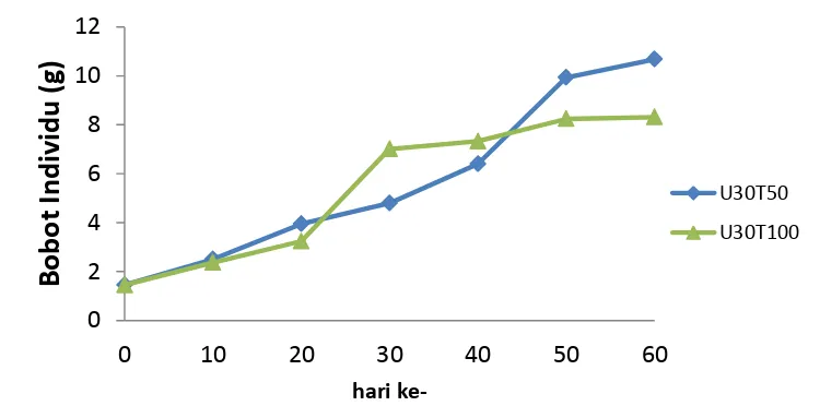 Gambar 24. Grafik pertumbuhan bobot ikan tambakan pada perlakuan U30T50 