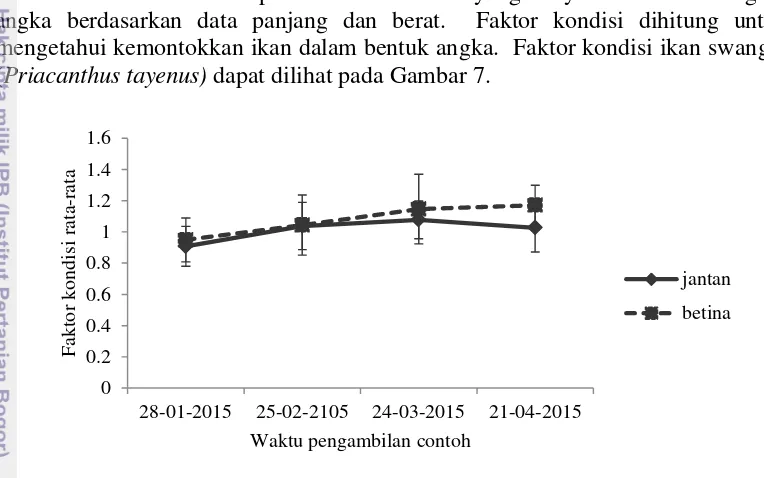 Gambar 7 Faktor kondisi ikan swanggi 