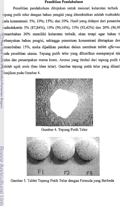 Gambar 5. Tablet Tepung Putih Telur dengan Formula yang Berbeda 