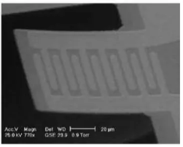 Figure 2-9: MEMS micromachined IDE pattern cantilever (after [15]). 