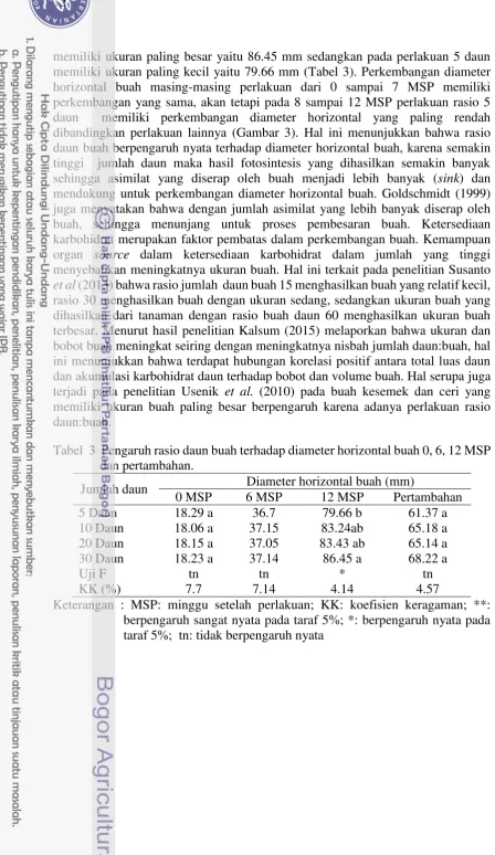 Tabel  3  Pengaruh rasio daun buah terhadap diameter horizontal buah 0, 6, 12 MSP 