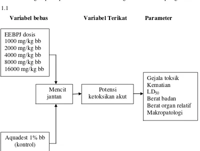 Gambar 1.1 Diagram kerangka pikir penelitian 