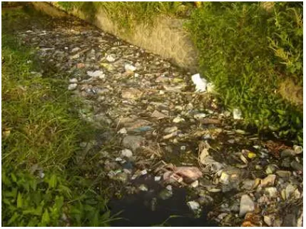 Gambar 2. Sampah selokan di Kecamatan Denpasar Barat  