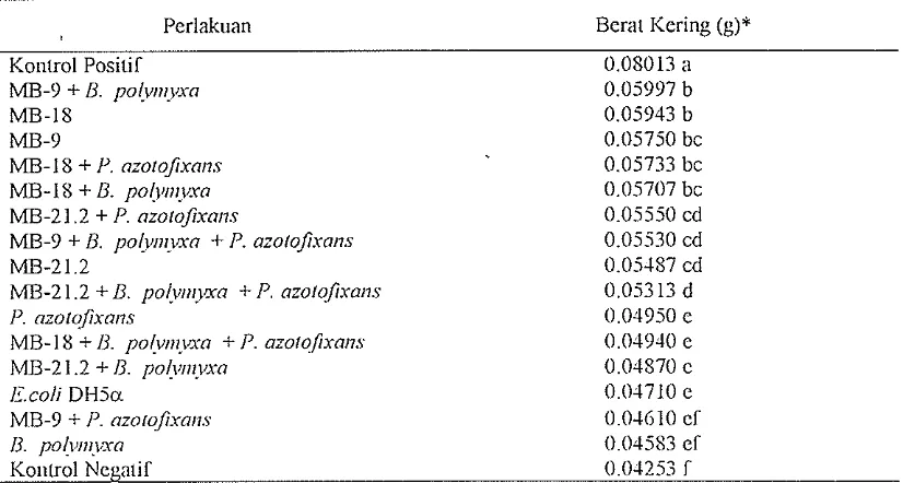 Tabel 3. Pengaruh penambahan BFA yang dikombinasi dengan B. polYIIIYxa dan P. azotojixans terhadap berat kering tanamall padi umur 21 hari yang tumbull pacta media lumPll! sawah 