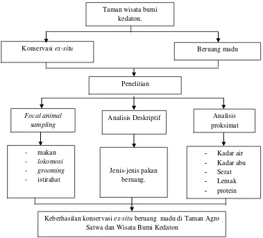 Gambar 1. Diagram alir kerangka pemikiran pada Penelitian Kajian Perilaku dan Analisis Kandungan Gizi Pakan Drop In Beruang Madu (Helarctos malayanus) di TASWBK 