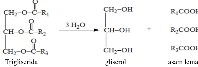 Gambar 3. Reaksi Hidrolisis Trigliserida 