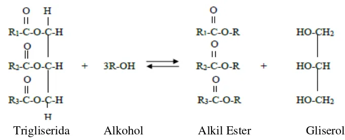 Gambar 5. Reaksi Transesterifikasi (Budiman, et al., 2014: 37) 