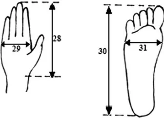 Fig. 2. Body measurement in sitting position.