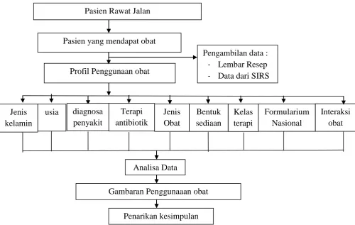 Gambaran Penggunaaan obat 