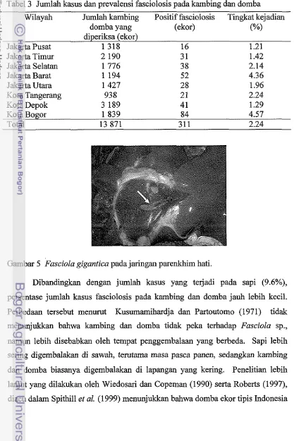 Tabel 3 Jumlah kasus dan prevalensi fasciolosis pada kambing dan domba 