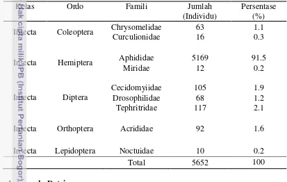Tabel 6  Kelimpahan artropoda herbivora pada tanaman talas di  