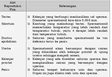 Tabel. Struktur dan Fungsi Sistem Reproduksi Pria  