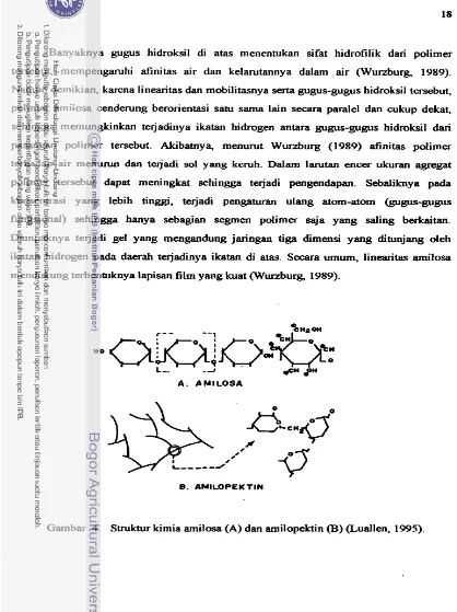 Gambar 4. Struktur kimia arnilosa (A) dan amilopektin (B) (Luallen, 1995). 