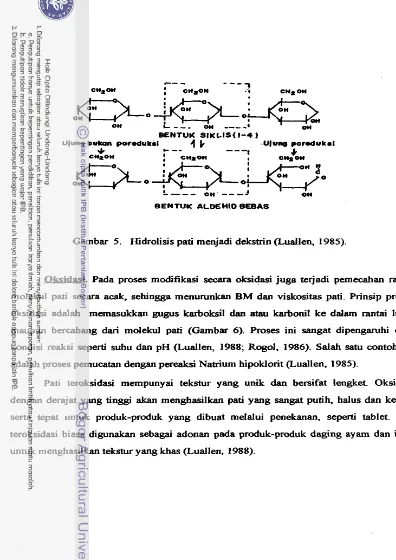 Gambar 5. Hidrolisis pati menjadi dekstrin (hallen, 1985). 