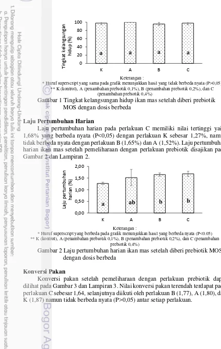 Gambar 1 Tingkat kelangsungan hidup ikan mas setelah diberi prebiotik 
