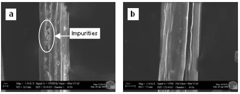 Figure 2 : SEM micrograph of kenaf fiber (a) untreated fiber and (b) treatment 1 (treated 3% NaOH for 12 hours)
