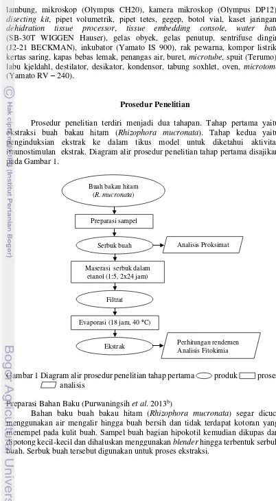 Gambar 1 Diagram alir prosedur penelitian tahap pertama            produk            proses             