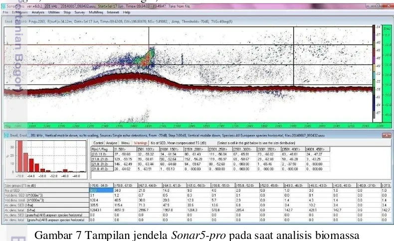 Gambar 7 Tampilan jendela Sonar5-pro pada saat analisis biomassa 