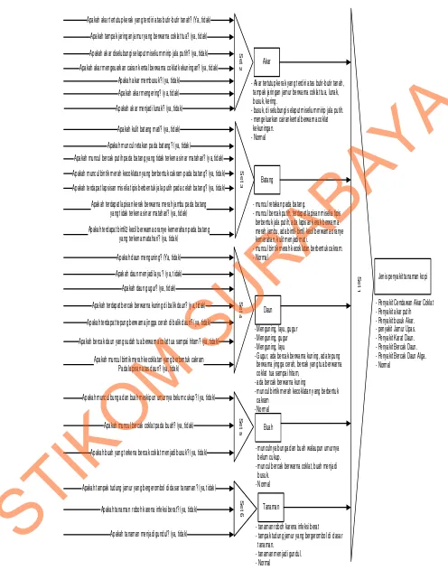 Gambar 3.3 Dependency Diagram Diagnosis Penyakit Pada Tanaman Kopi 
