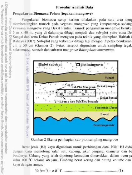 Gambar 2 Skema pembagian sub-plot sampling mangrove 