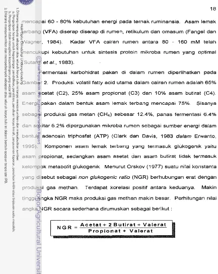 Gambar 2. Produksi volatil fatty acid utarna dalarn cairan rurnen adalah 65% 