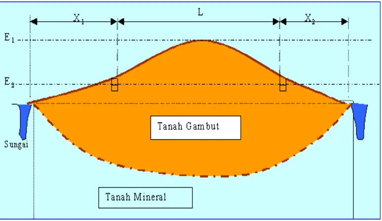 Figure 2. Peat dome schematization 