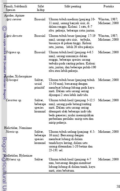 Tabel 8 Sifat hidup dan sifat-sifat penting spesies Hymenoptera penyerbuk pertanaman caisin