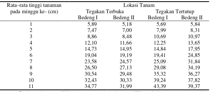 Tabel 7  Rata-rata intensitas cahaya matahari pada tegakan terbuka dan tertutup 