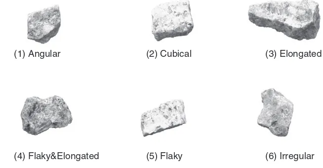 Fig. 1. Six shapes of aggregates.