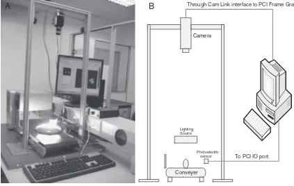 Fig. 3. Prototype of the real time machine vision system (A) the setup (B) the actual hardware setup.
