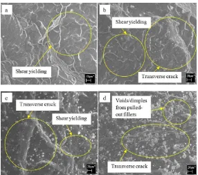 Figure 3:  SEM fractographs of (a) unfilled ENR vulcanizate, ENR� and ENRAN at (b) ��phr (c) �� phr  and (d) �� phr of alumina nanoparticles loading at ���x magnification
