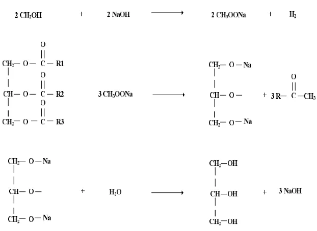 Gambar 4 Persamaan reaksi proses pembentukan NaOH 