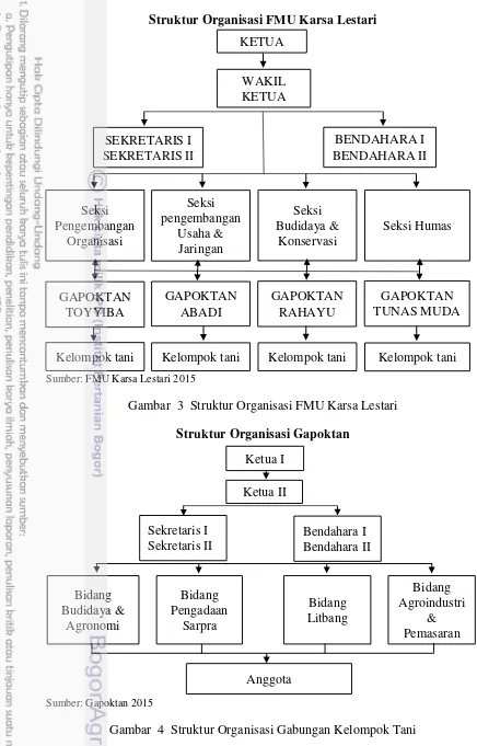Gambar  3  Struktur Organisasi FMU Karsa Lestari 