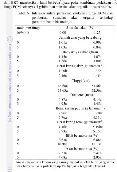 Tabel 5  Interaksi antara perlakuan inokulasi fungi ECM dan 