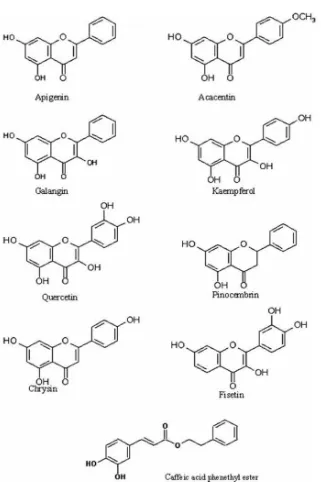 Gambar 2.1. Struktur Kimia Flavonoid dalam Propolis (Viuda-Martos dkk., 2008) 