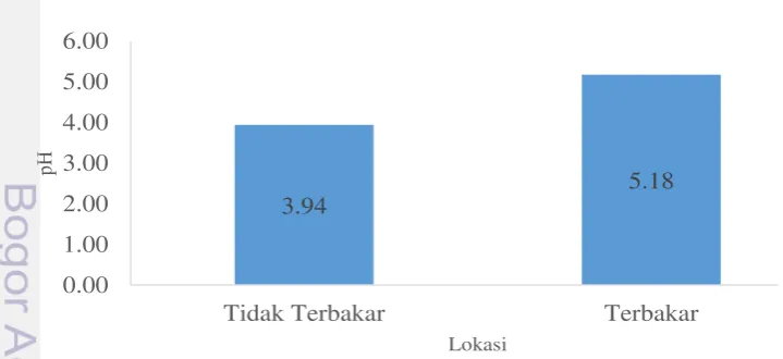 Gambar 3  Rata-rata pH tidak terbakar dan terbakar 