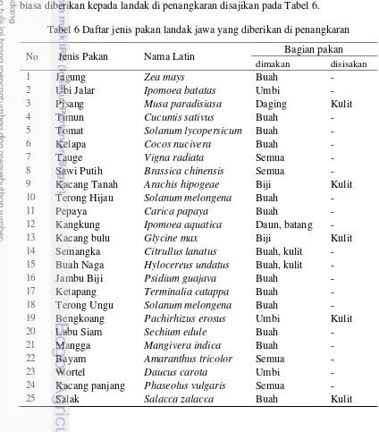 Tabel 6 Daftar jenis pakan landak jawa yang diberikan di penangkaran 