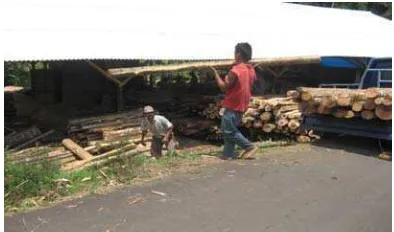 Gambar  5   Industri perkayuan pedesaan “ rentalan kayu” di Karacak 